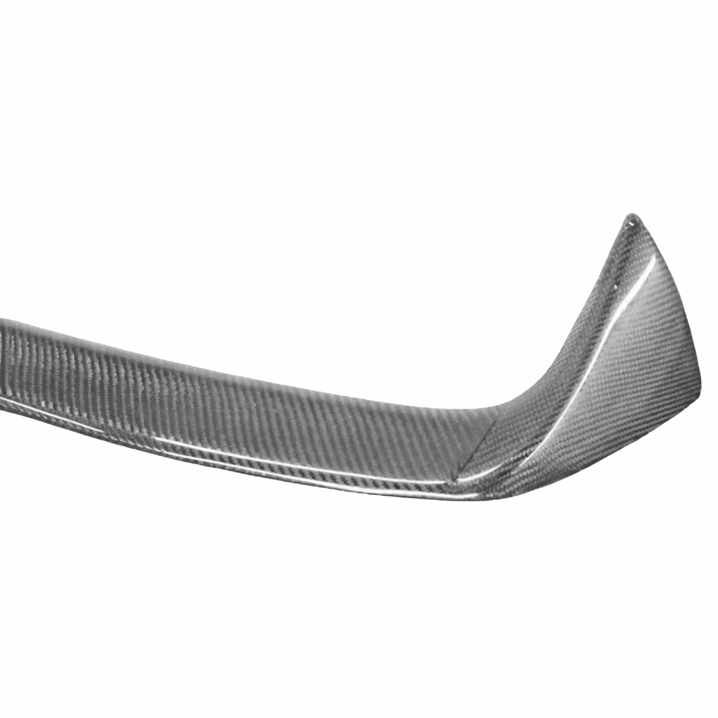 ACS V1 F20/F21 Rear Spoiler